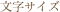 文字サイズ